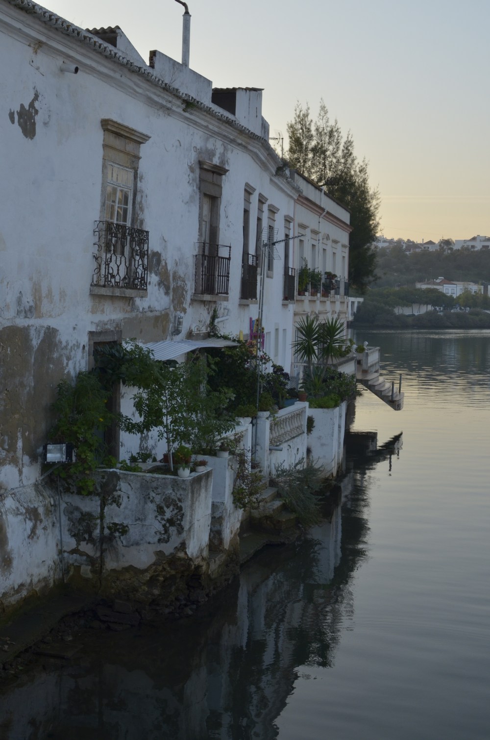 Tavira