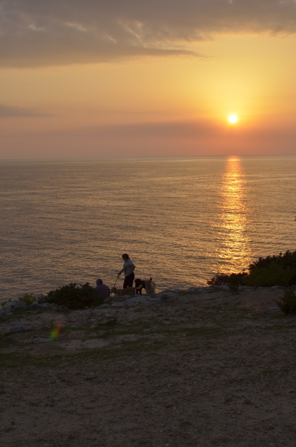 Wypas kóz na klifach o zachodzie słońca :p