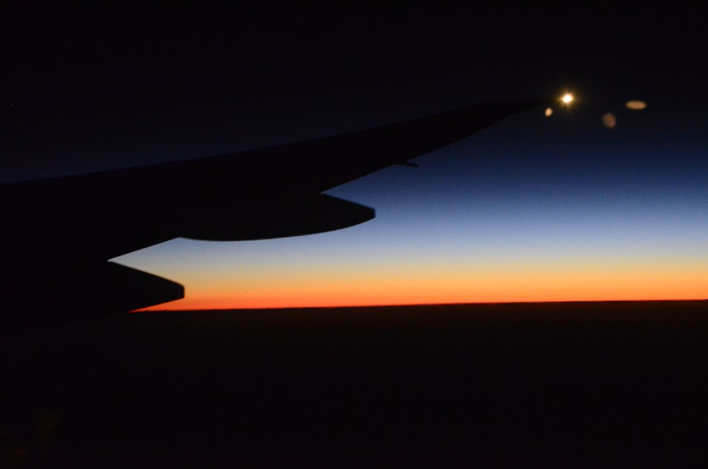 tmp_9339-_dsc6878687988767